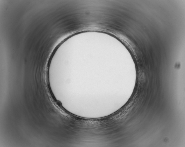 X0000098111238200805021125