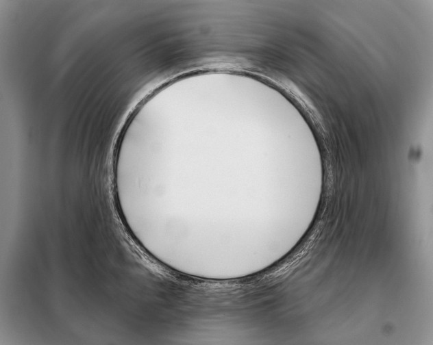 X0000098111240200805021126