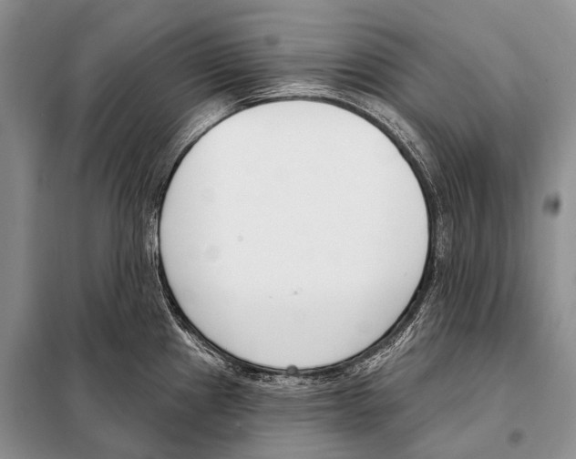 X0000098111241200805021126