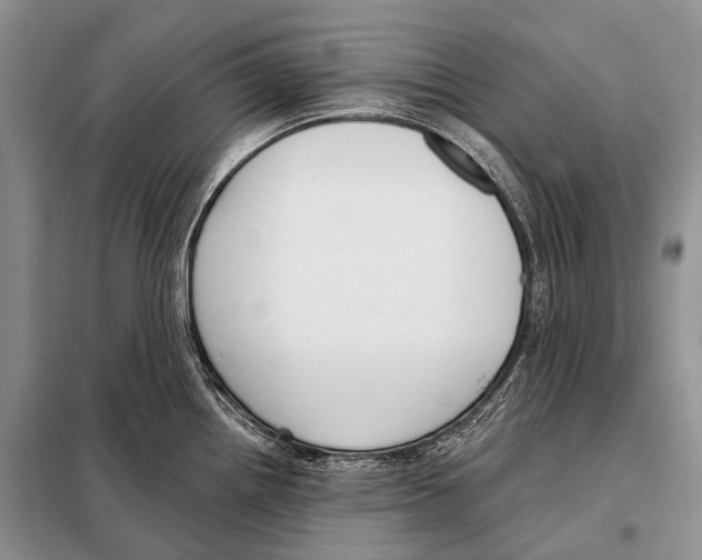 X0000098111242200805021126