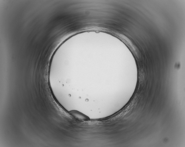 X0000098111244200805021126