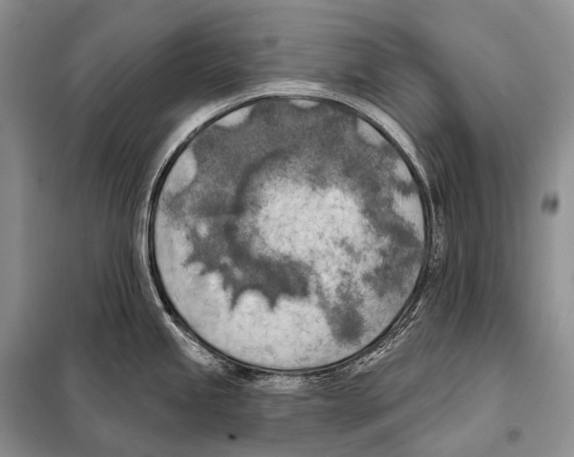 X0000098111245200805021126