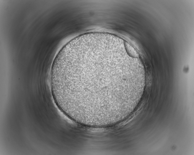 X0000098111247200805021126