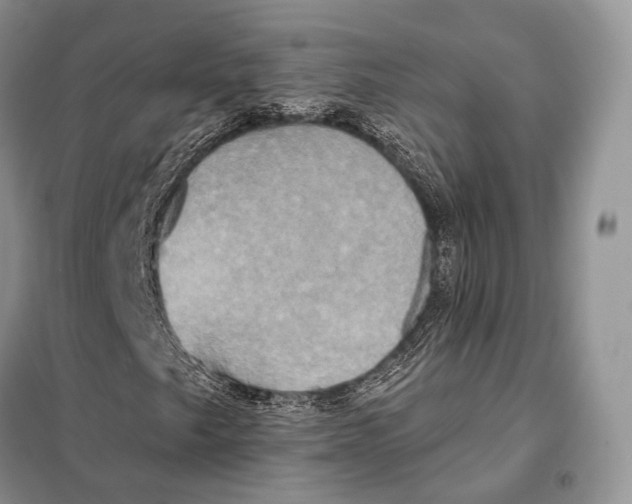 X0000098111249200805021125