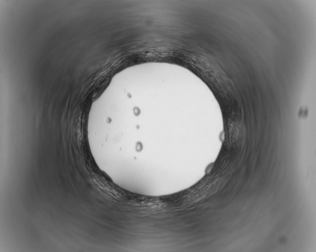 X0000098111250200805021125