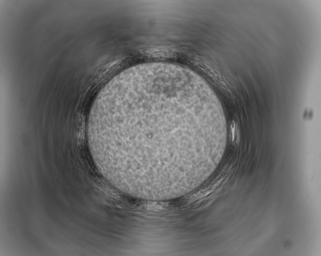 X0000098111251200805021125