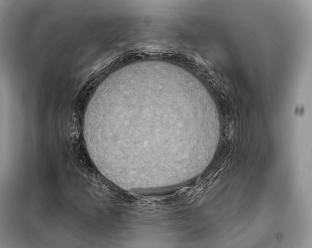 X0000098111253200805021125