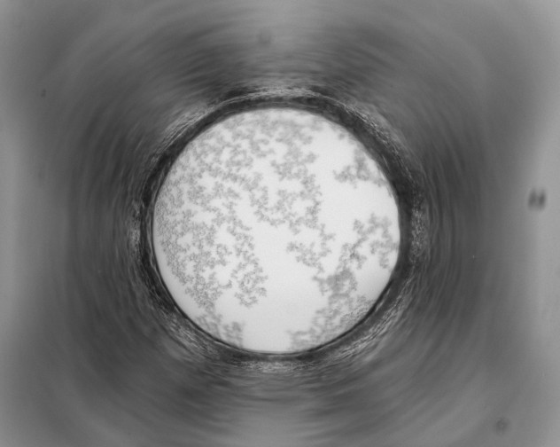 X0000098111257200805021125