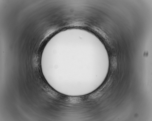 X0000098111258200805021125