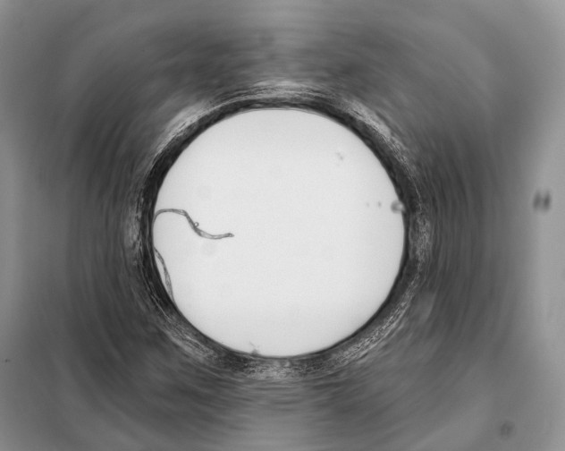 X0000098111259200805021125