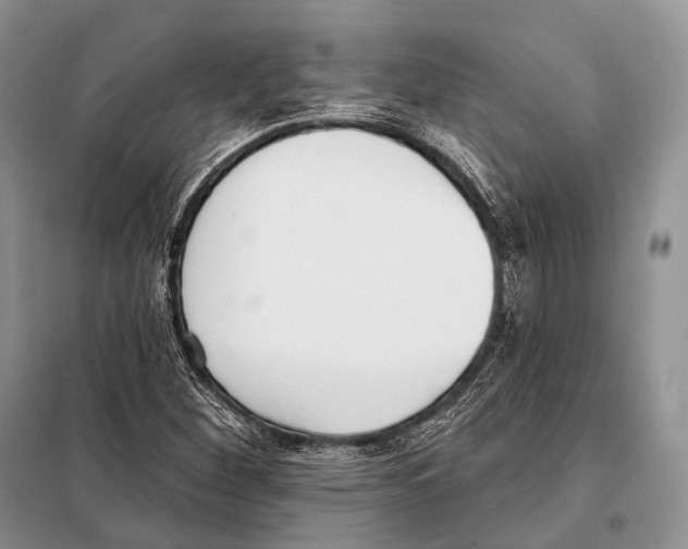 X0000098111260200805021125