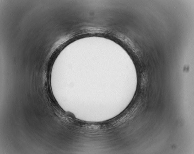 X0000098111261200805021125