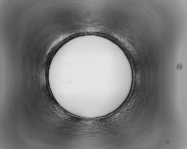 X0000098111262200805021125