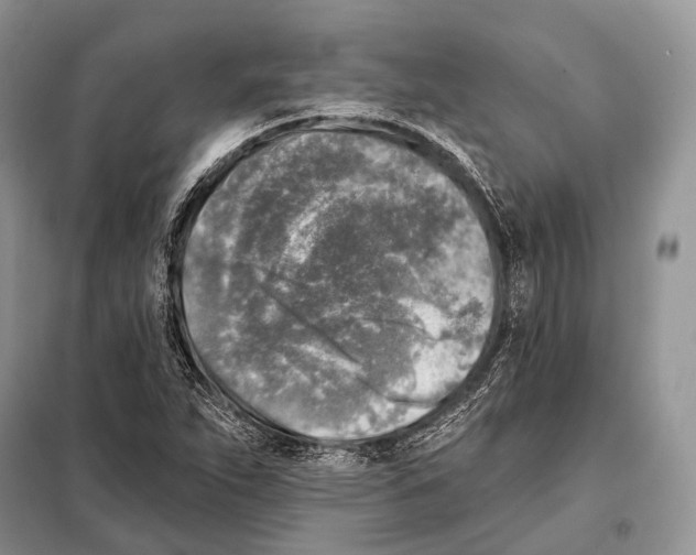 X0000098111263200805021125