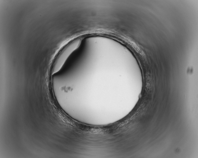 X0000098111264200805021125