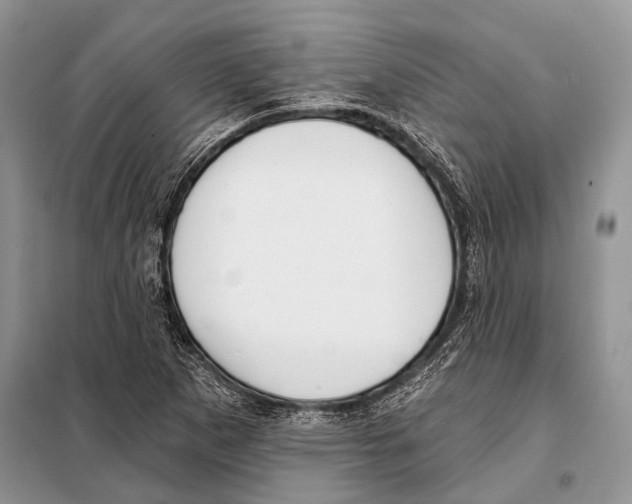 X0000098111265200805021125