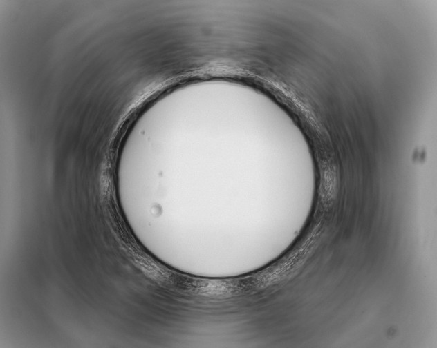 X0000098111266200805021125