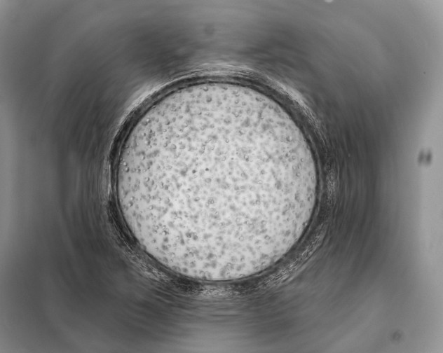 X0000098111267200805021125