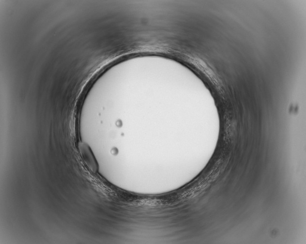 X0000098111268200805021125