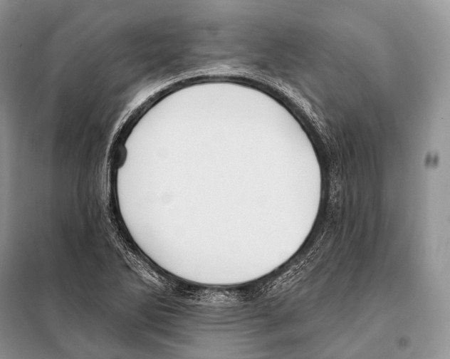 X0000098111270200805021125