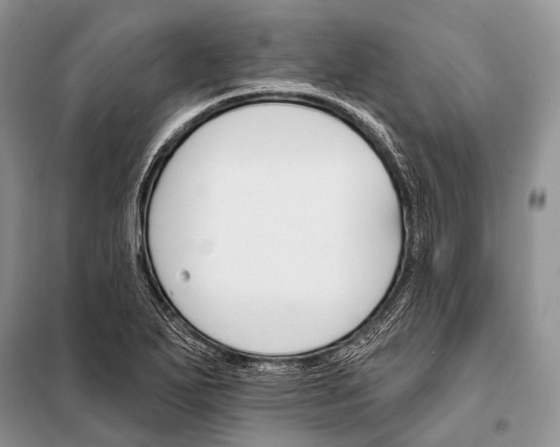 X0000098111271200805021125