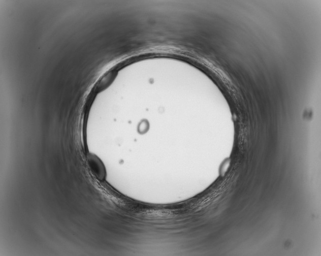 X0000098111272200805021124