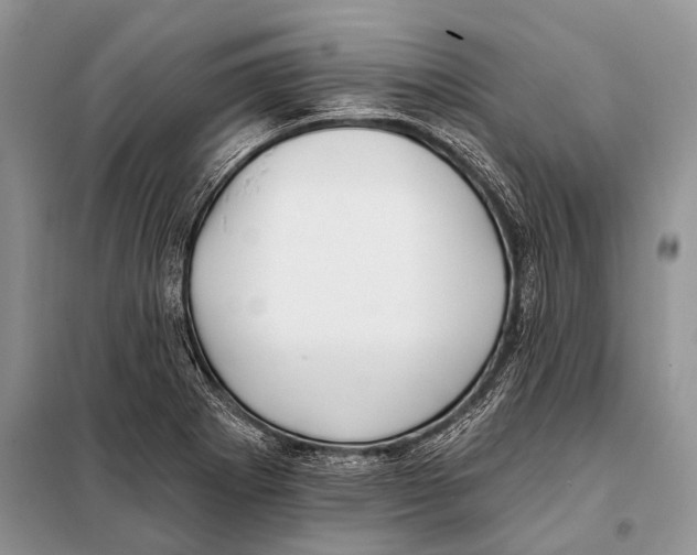 X0000098111273200805021124