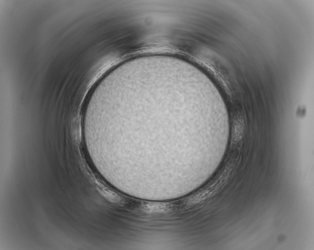 X0000098111274200805021124