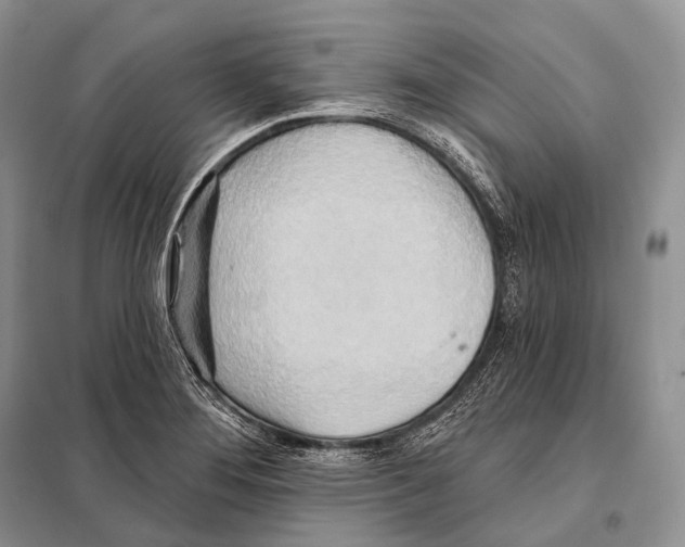 X0000098111276200805021124