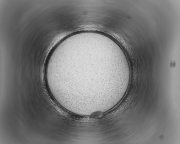 X0000098111277200805021124