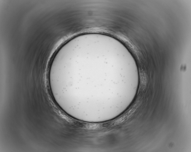 X0000098111278200805021124