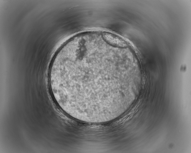 X0000098111279200805021124