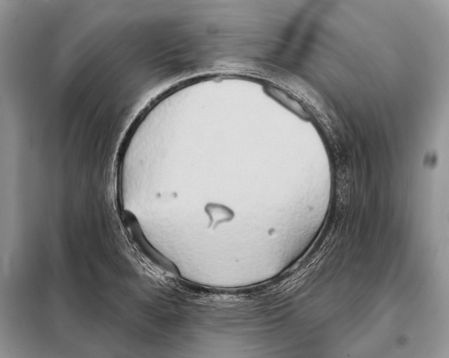 X0000098111280200805021124