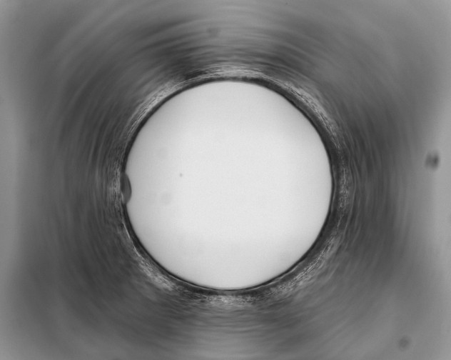 X0000098111281200805021124