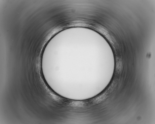 X0000098111282200805021124