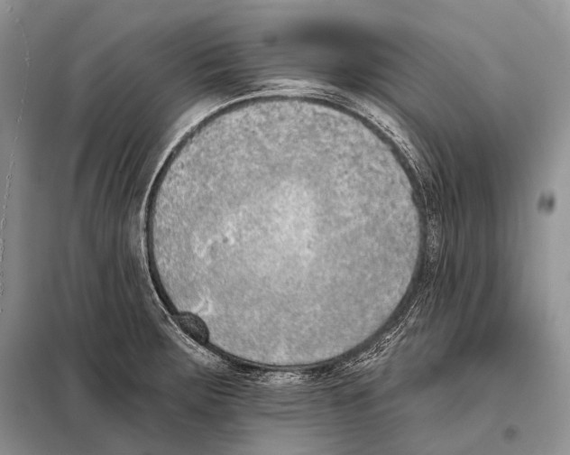 X0000098111283200805021124