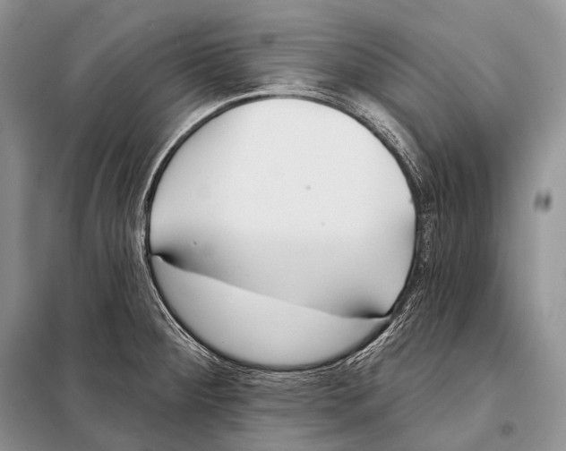 X0000098111284200805021124