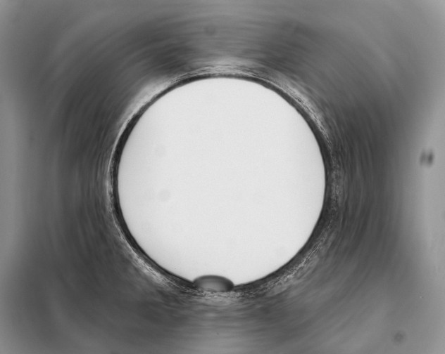 X0000098111285200805021124