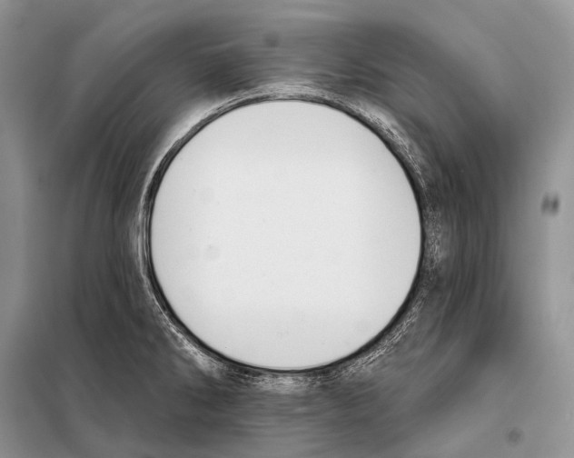 X0000098111286200805021124