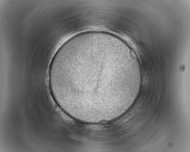 X0000098111287200805021124