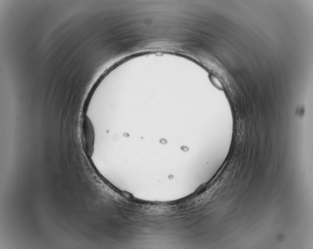 X0000098111288200805021124