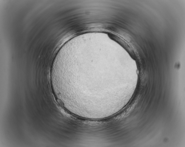 X0000098111289200805021124