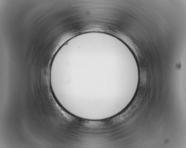 X0000098111290200805021124