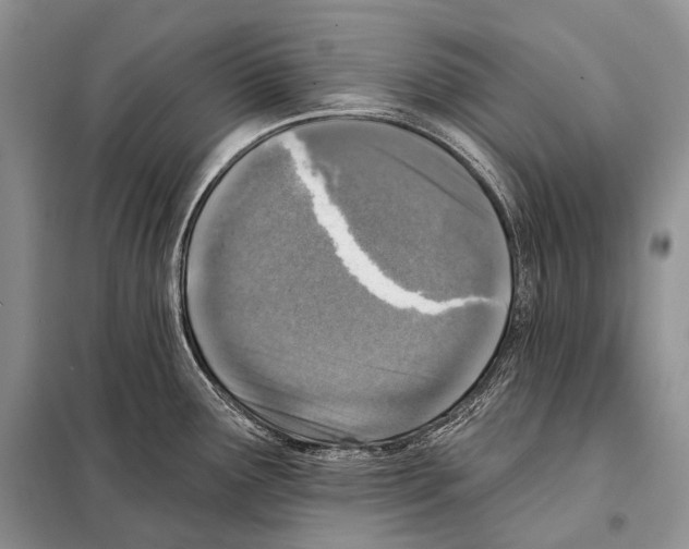 X0000098111291200805021124