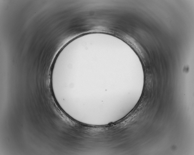 X0000098111292200805021124