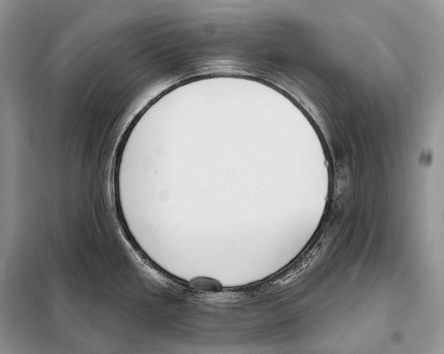 X0000098111293200805021124