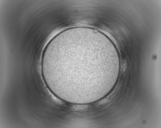 X0000098111294200805021124