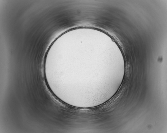 X0000098111295200805021124