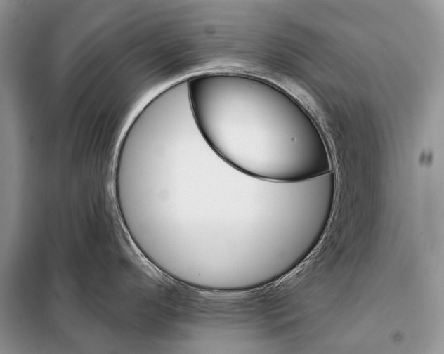 X0000098111296200805021124