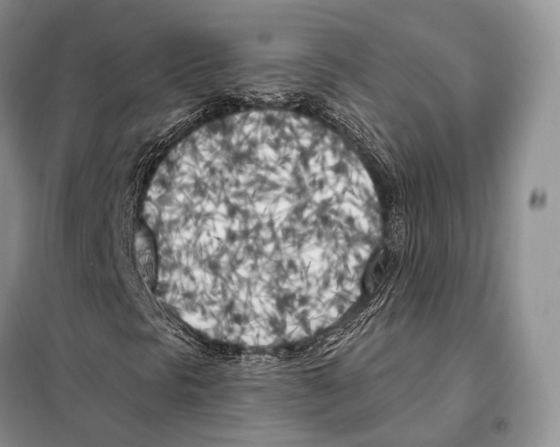 X0000098111297200805021123